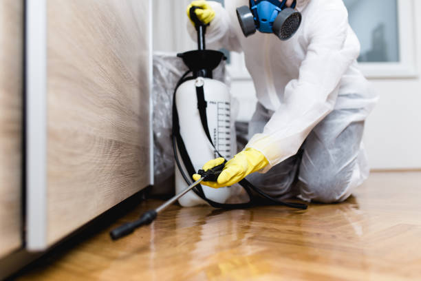 Best Pest Prevention Services  in Jamesport, NY