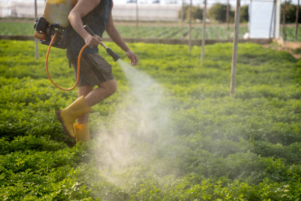 Best Best Pest Control Companies  in Jamesport, NY