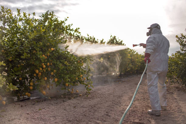 Best Affordable Pest Control Services  in Jamesport, NY