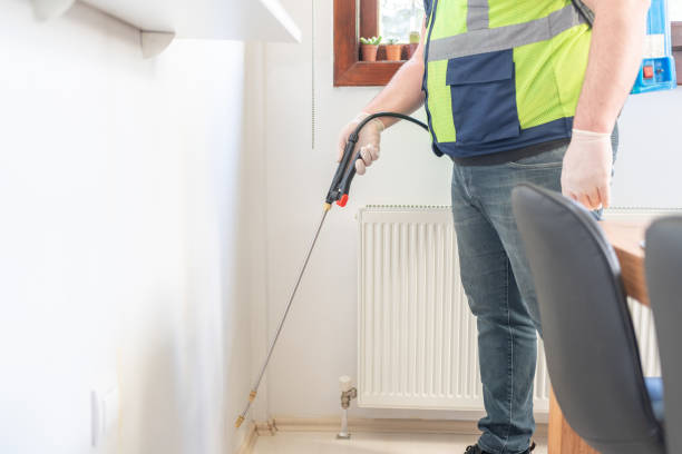 Best Wasp Removal Services  in Jamesport, NY