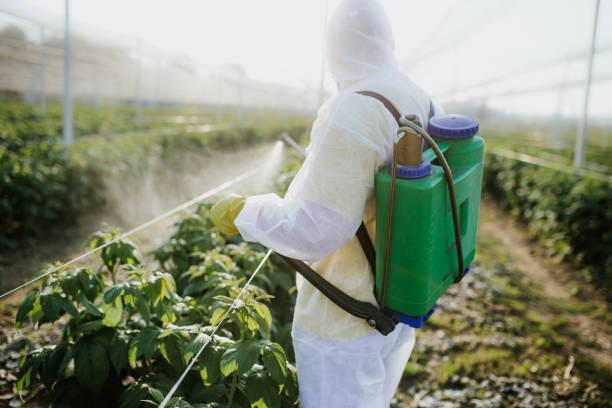 Best Pest Removal Services  in Jamesport, NY